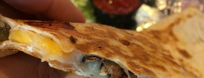 Global Quesadilla is one of Places to Try.