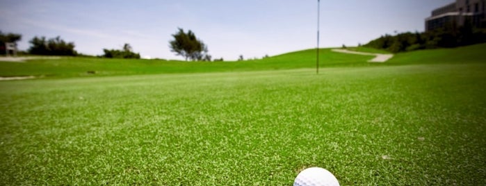 Club de Golf Santa Anita is one of Lugares.