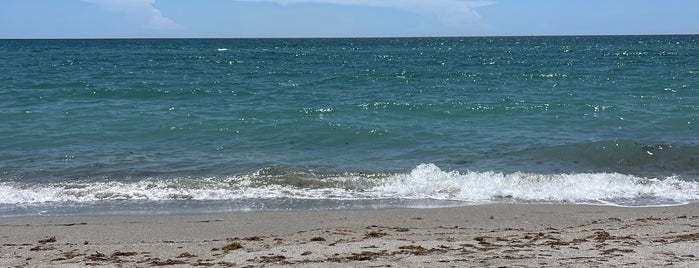 Golden Beach is one of Venice, Florida.