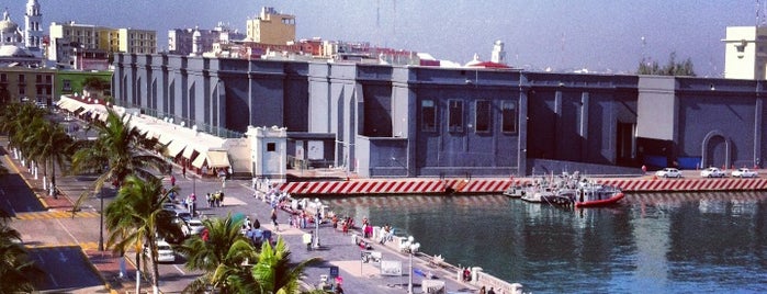 Malecón de Veracruz is one of สถานที่ที่ Carlo ถูกใจ.