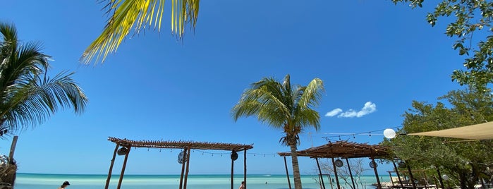 Las Nubes de Holbox is one of Holbox.