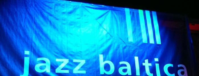 Jazz Baltica is one of Locais curtidos por Gernot.