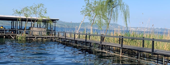 sapanca gölü bacce restoran is one of bati karadeniz.