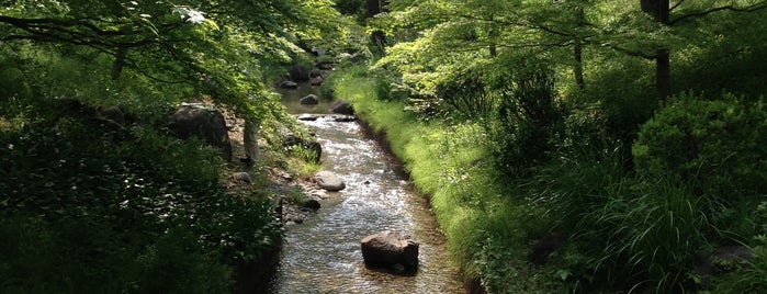 郷土の森博物館 is one of ロケ場所など.