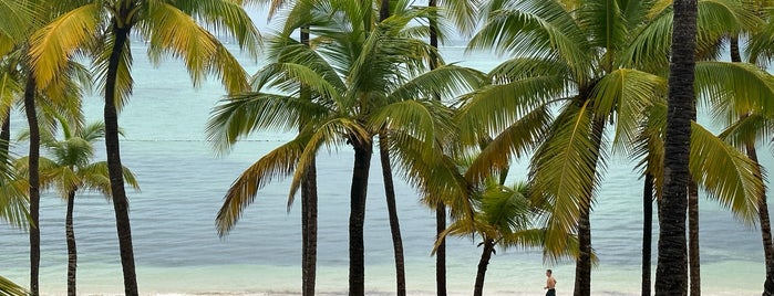 Caribbean Sea is one of Tempat yang Disukai Cristina.