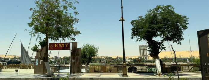 Aswan is one of اماكن رحتها ونفسي اروحهاتاني.