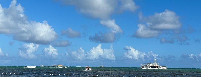 Playa Bavaro is one of Ирина : понравившиеся места.