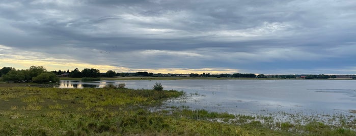 Svartåmynningens Naturreservat is one of Top picks for Other Great Outdoors.