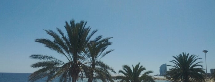 Playa Ciutadella Olimpica is one of สถานที่ที่ Paco ถูกใจ.