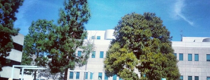 UCLA Westwood Village Center is one of LA.