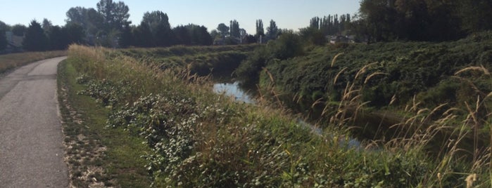 Green River Trail is one of Lieux sauvegardés par Kimmie.