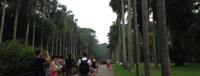 Botanical Garden of São Paulo is one of O melhor de São Paulo.