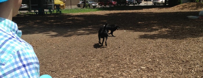 Morton Street Dog Park is one of Louisville Area DOG PARKS.