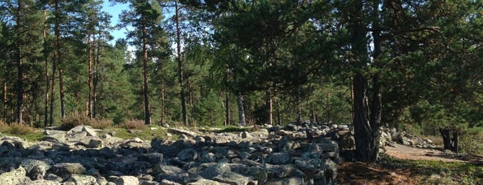 Sammallahdenmäki is one of Luontoa kaupungissa ja sen ulkopuolella.