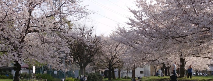 富士見公園 is one of 公園.