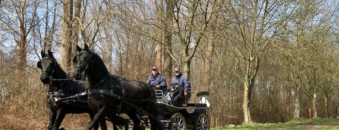 Grenspaal 300 is one of Around Netherlands.