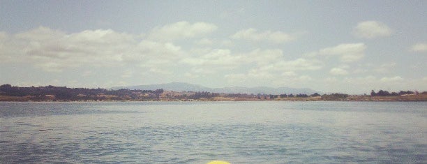 Monterey Bay Kayaks is one of Big Sur & environs.
