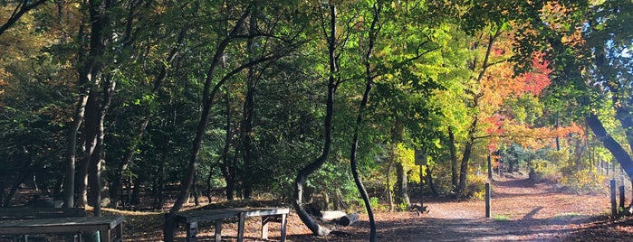 Stafford Woods Disc Golf Course is one of Disc Golf PA, NJ & DE.