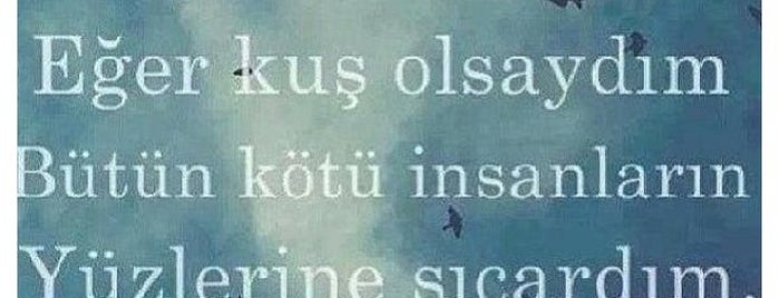 Altınkum is one of Locais curtidos por ....