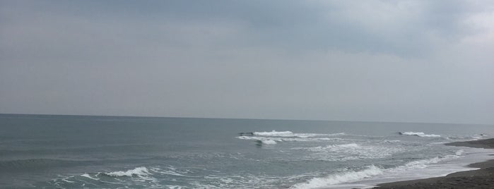 Kocaali Beach is one of Locais curtidos por Derya.