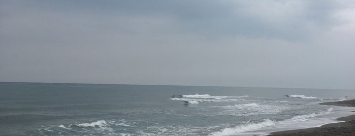 Kocaali Beach is one of Tempat yang Disukai Derya.