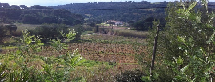 Domaine La Tourraque is one of Southern France trip.