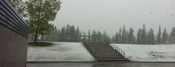 Canmore Elementary School playground is one of Riding the Cougar-Canmore-1.