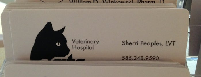 Cats Exclusively Veterinary Hospital is one of Roc City Trick.
