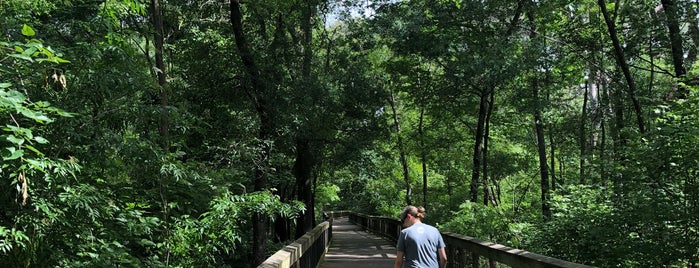 Hogtown Creek Greenway is one of Kimmie's Saved Places.