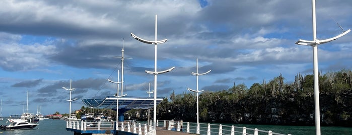 Muelle Ecoturístico de Puerto Ayora is one of ECUADOR.