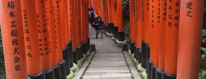 Fushimi Inari Taisha is one of Tempat yang Disukai D.