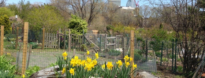 Fenway Victory Gardens is one of Boston.