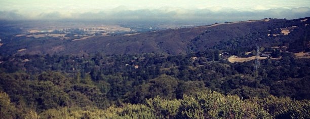 Skyline Vista Point is one of Palo Alto.