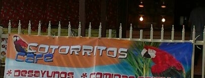 Cotorritos Cafe is one of Vieques, PR.