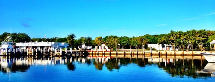 ジョン・ペネカンプ・コーラル・リーフ州立公園 is one of Florida Keys.