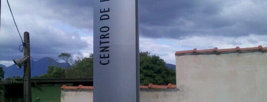CEBIMar is one of Galera da Bio.