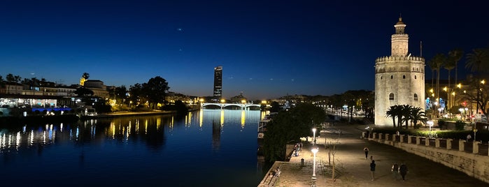 Torre del Oro is one of Seville.