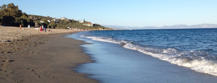 Mavrovouni Beach is one of Must-visit beaches in Laconia.