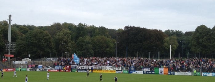 Karl-Liebknecht-Stadion is one of Public Viewing zur Fußball WM 2014 in Potsdam.