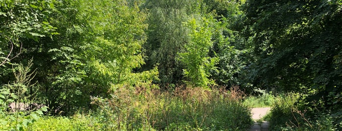 парк "Дніпровські Кручі" is one of Всі парки Києва.