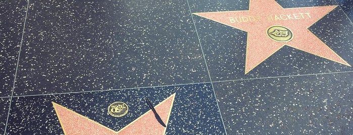 Hollywood Walk of Fame is one of Lugares favoritos de Lucky Devil.
