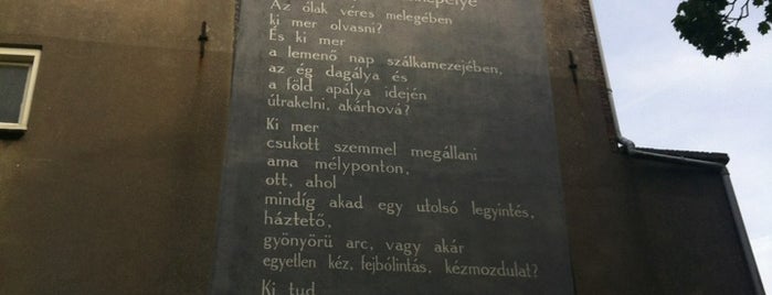 Wall poem Janos Pilinszky is one of Wall Poem project Leiden (find them all!).
