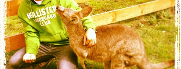 Great Ocean Wildlife Park is one of Lieux qui ont plu à Stef.