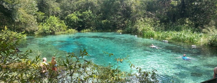 Ichetucknee Springs State Park - North Gate is one of Kimmieさんの保存済みスポット.