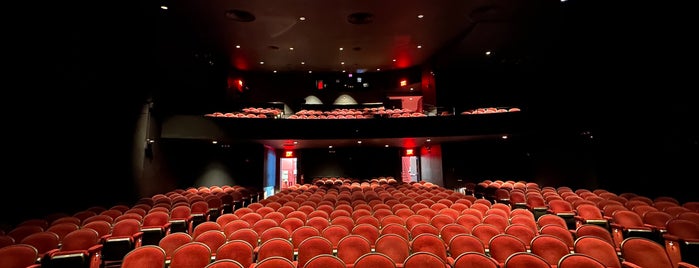Paris Theatre is one of New York movie theatres.
