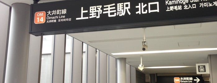 Kaminoge Station (OM14) is one of 私鉄駅 渋谷ターミナルver..