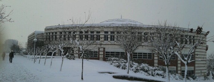 Sabanci University - IC is one of Tempat yang Disukai Şeyma.