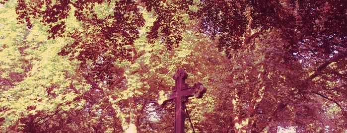 Blumenfriedhof is one of Lieux qui ont plu à Impaled.