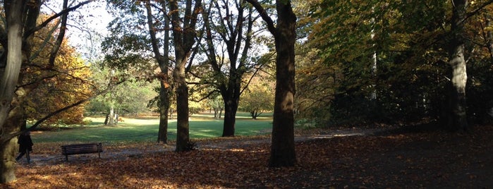 Volkspark Humboldthain is one of Sommer Chillspots.