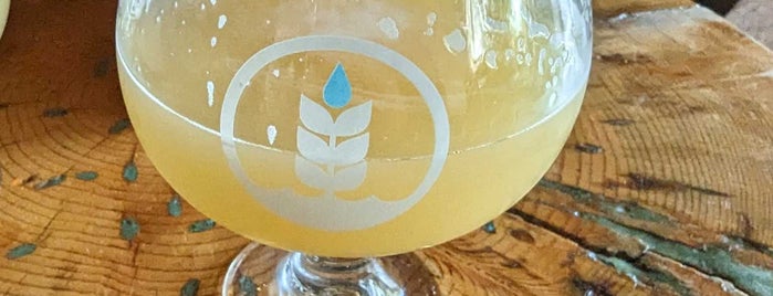 Pure Project Brewing is one of San Diego.